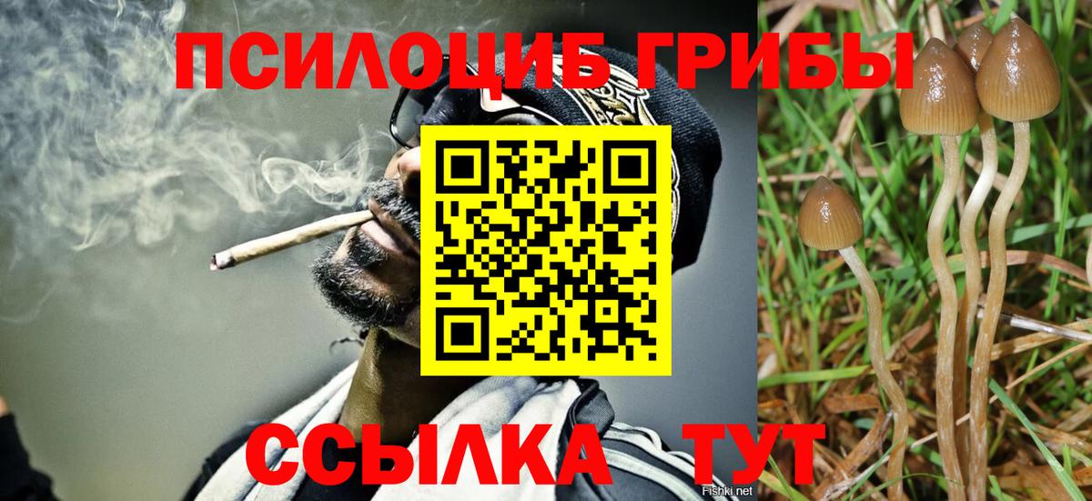 Псилоцибиновые грибы Psilocybe  Псилоцибиновые грибы GOLDEN TEACHER  Вход с VPN  Волжск 
